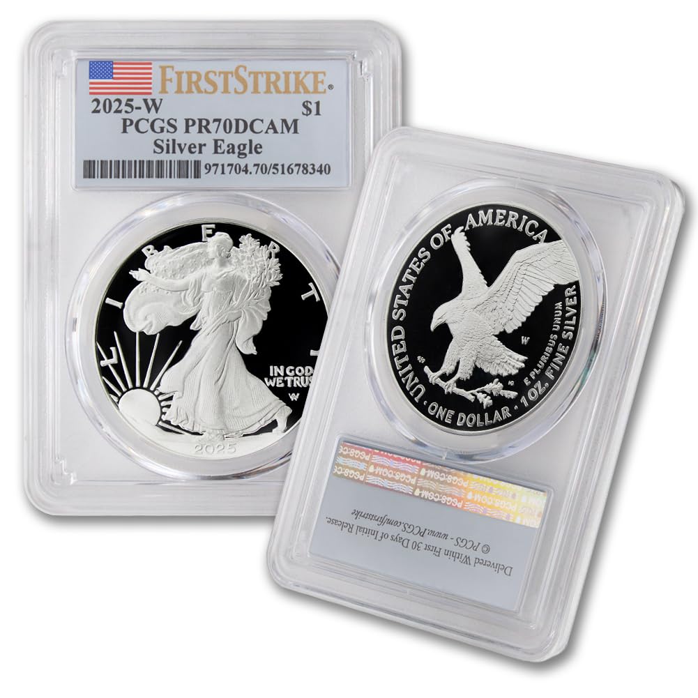 1 oz American Silver Eagle Coin Q66323