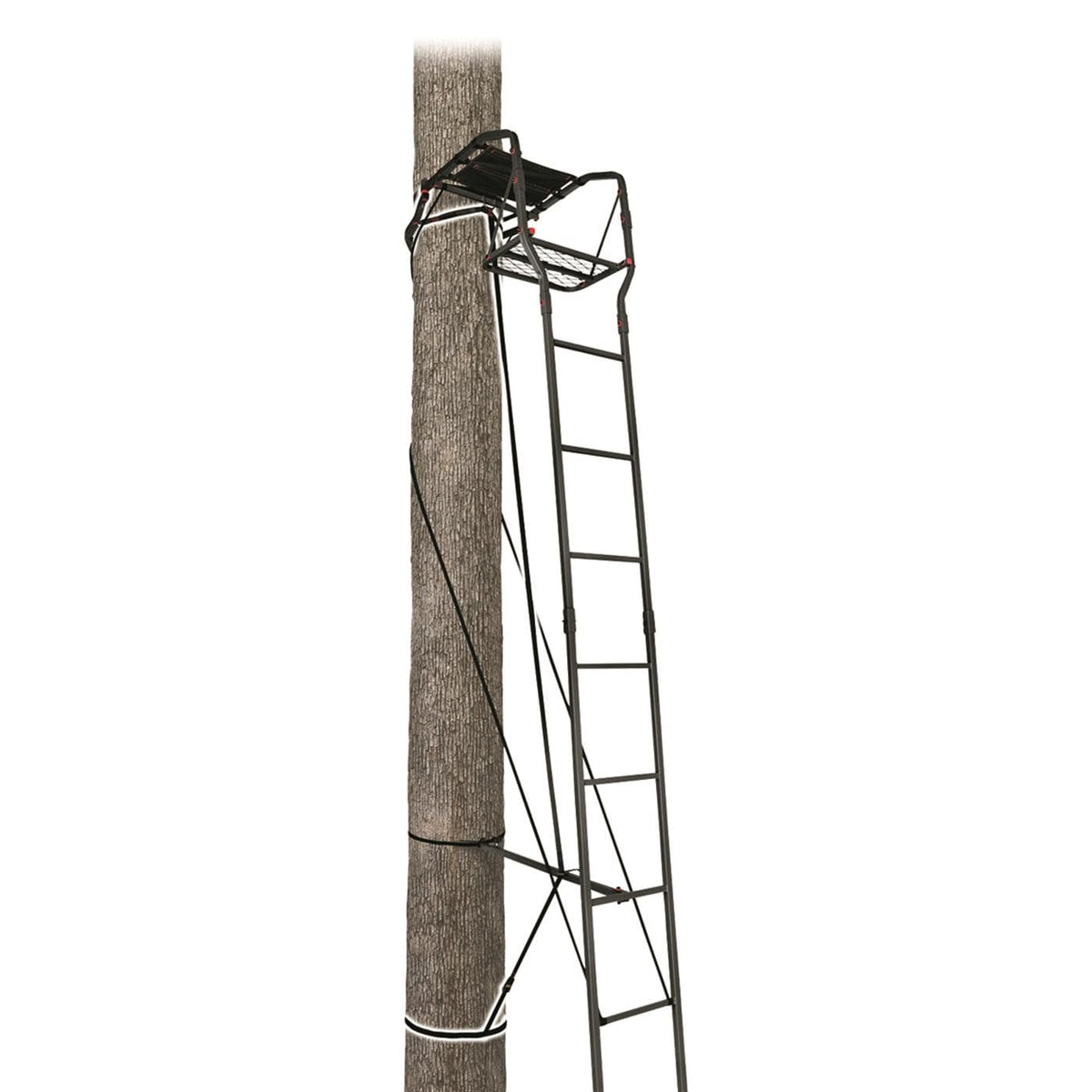 15’ Single Person Ladder Tree Stand D115