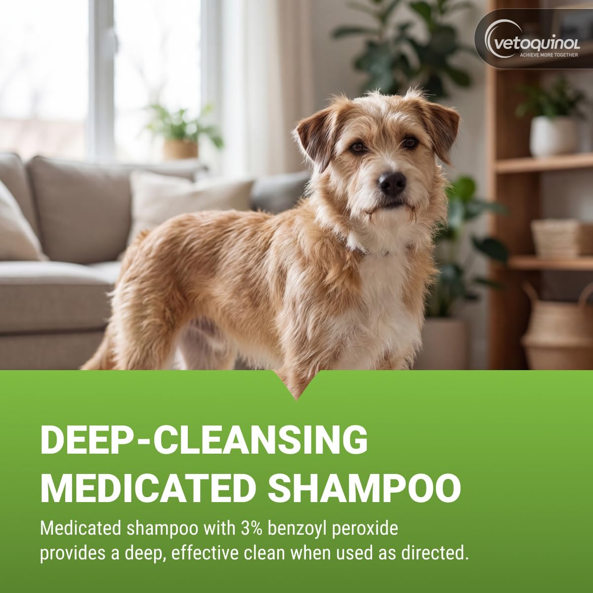 16oz 3% Benzoyl Peroxide Medicated Shampoo S176