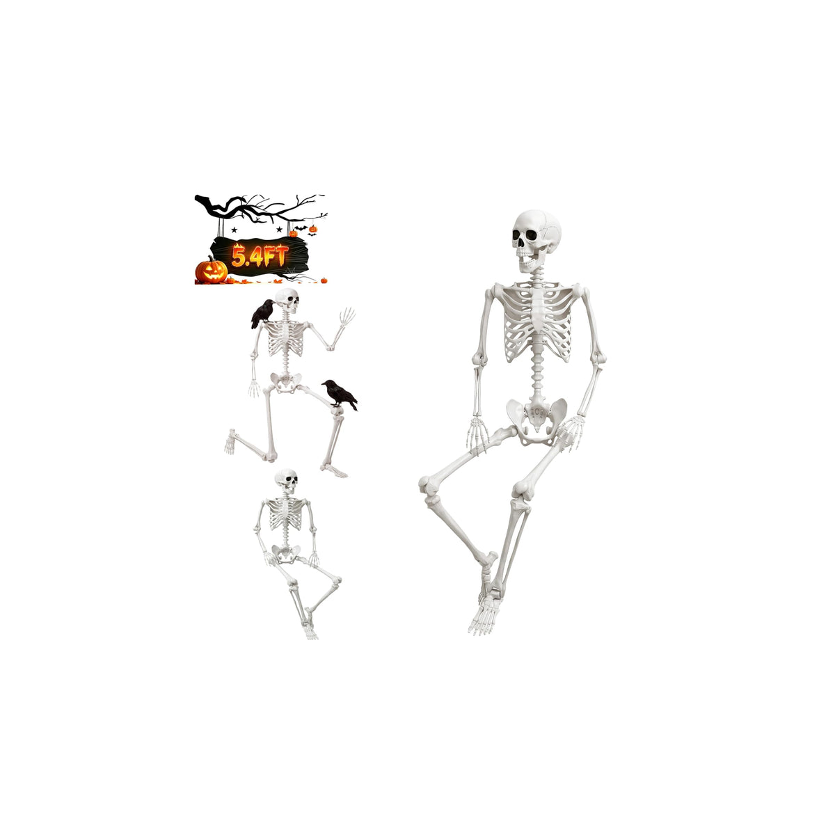 Halloween Life Size Human Skeleton with Posable Joint U42823