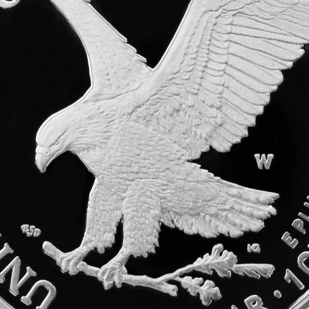 1 oz American Silver Eagle Coin Q66323