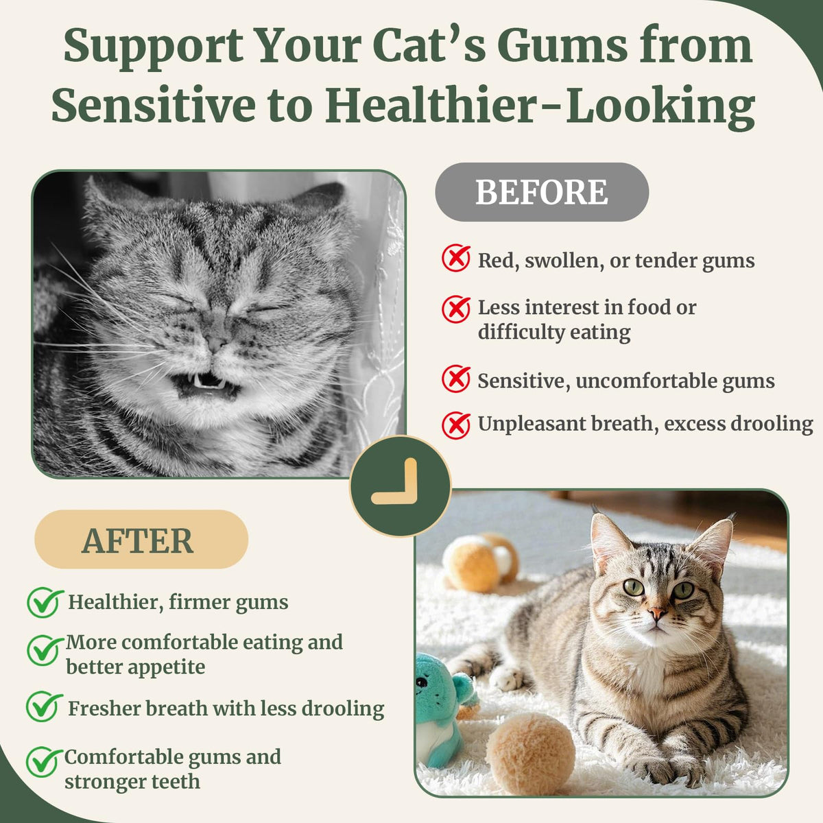 Cat Dental Care Gingivitis Treatment H26246