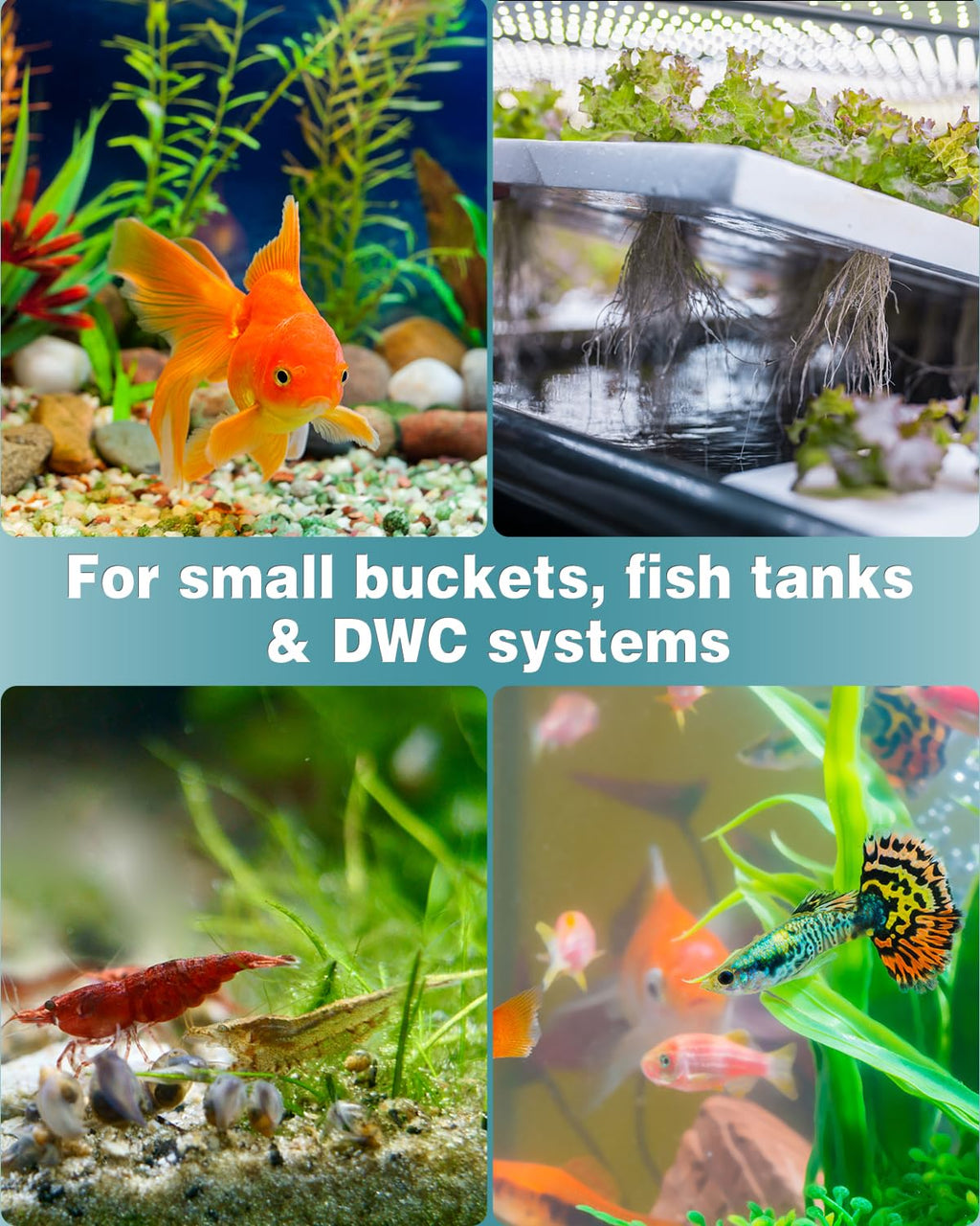 1 Inch Aquarium Air Stone 10 Pack C71451