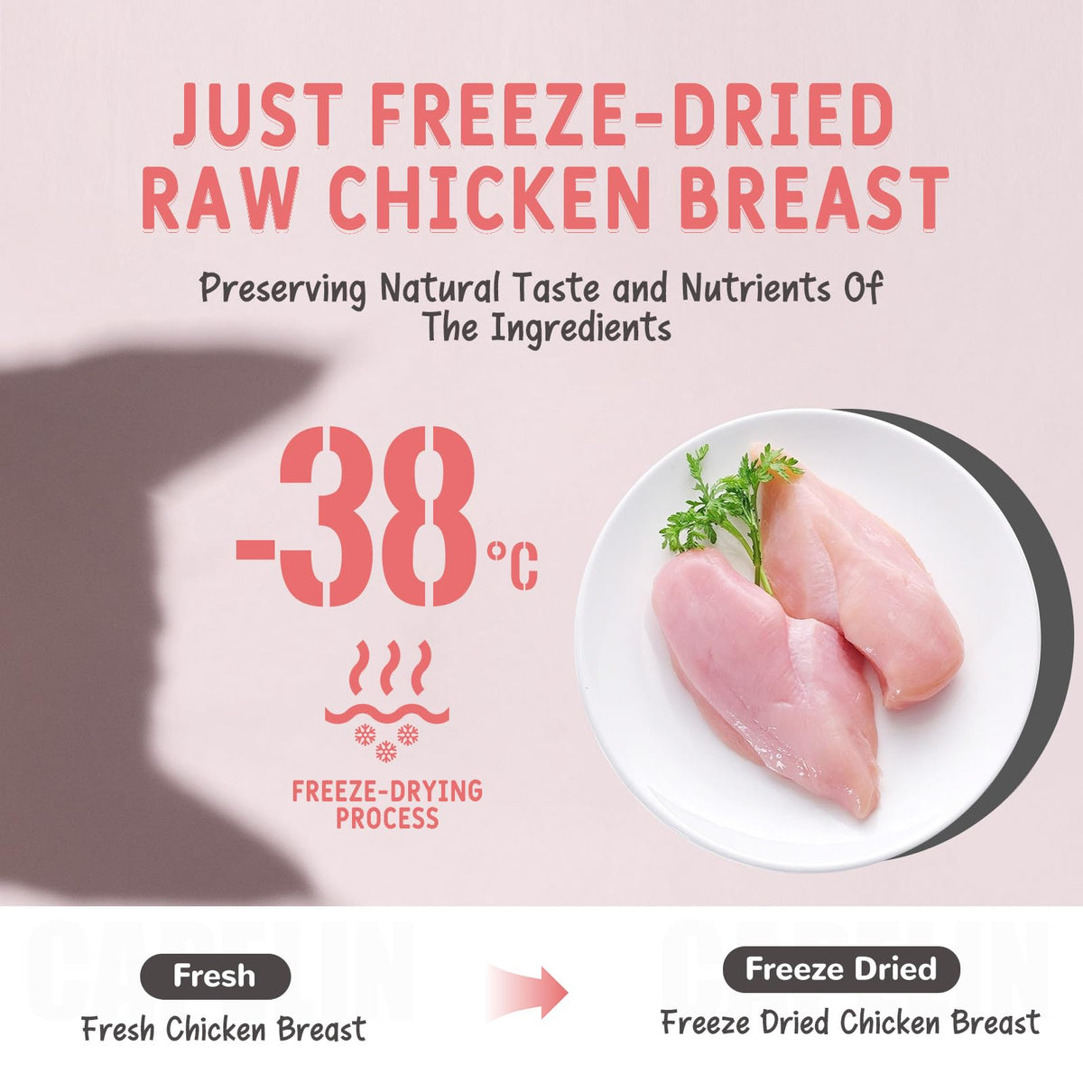 Freeze Dried Chicken Breast Cat & Dog Treats 2.82oz Single Ingredient Grain-Free X5053