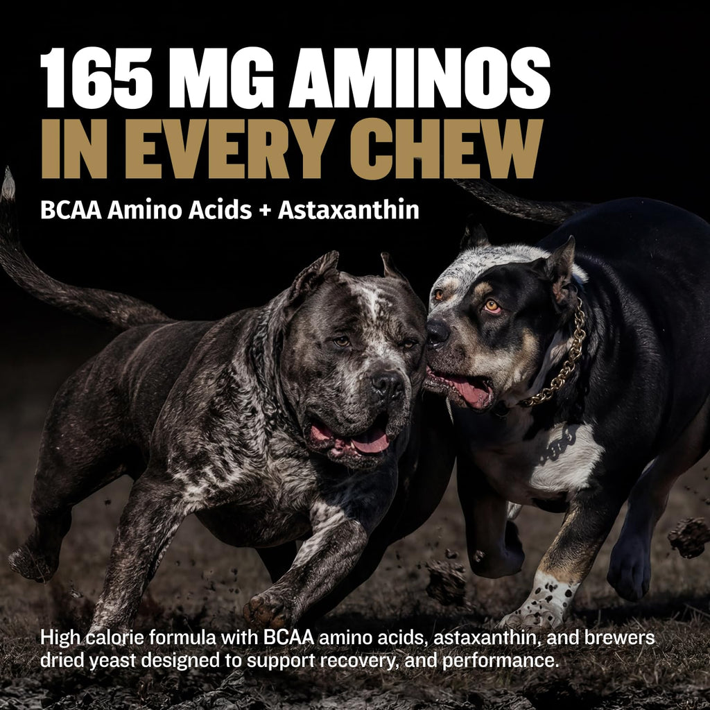 11-in-1 Dog Muscle Builder Power Chews - High Protein Supplement with Amino Acids - 75 Soft Chews D929737
