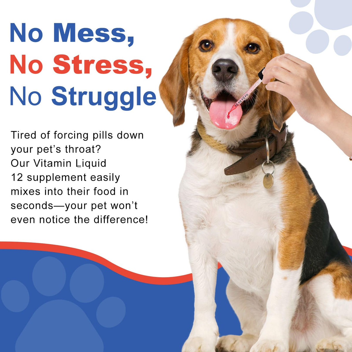Vitamin B12 Liquid for Dogs H23899