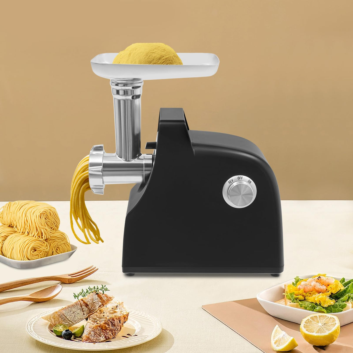 110V 500W Meat Grinder & Tomato Strainer B9319