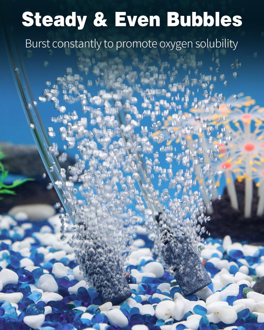 1 Inch Aquarium Air Stone 10 Pack C71451