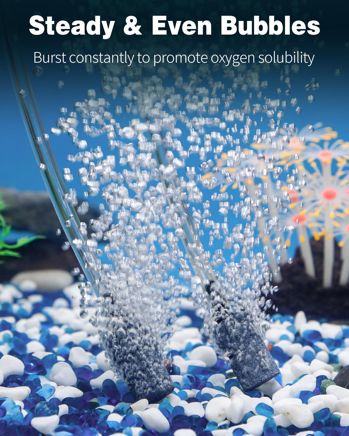 1 Inch Aquarium Air Stone 10 Pack C71451