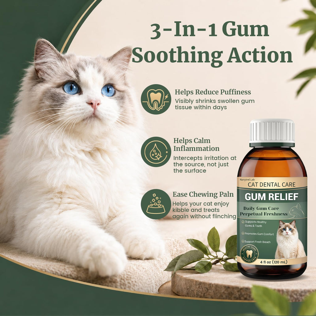 Cat Dental Care Gingivitis Treatment H26246