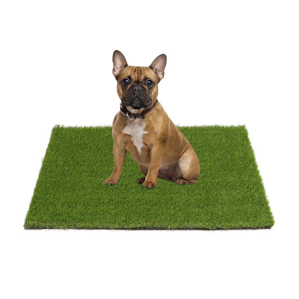 20x25 inches Artificial Grass Pad with Drainage Holes O101