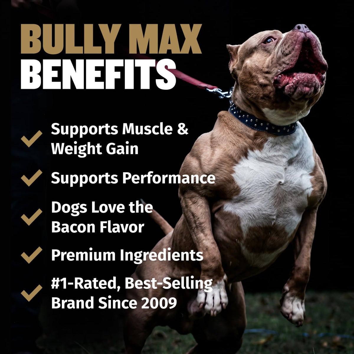 11-in-1 Dog Muscle Builder Power Chews - High Protein Supplement with Amino Acids - 75 Soft Chews D929737