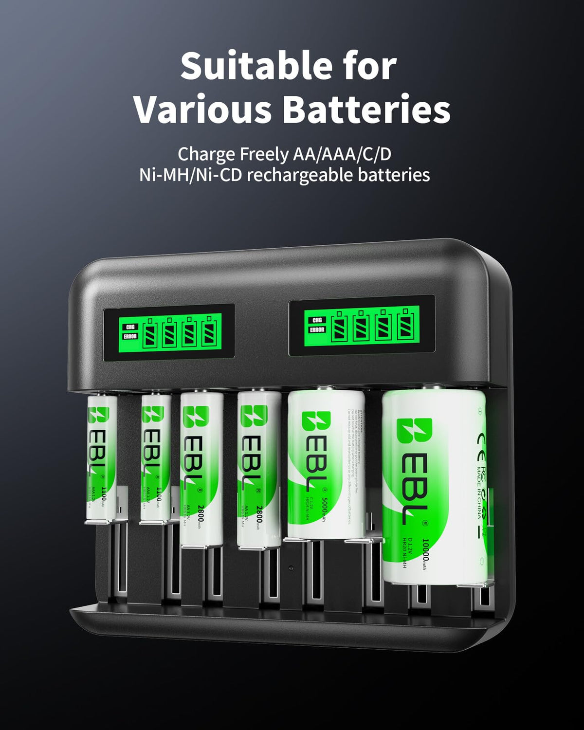 AA AAA C D Rechargeable Battery Charger with 8 PCS Batteries O245968