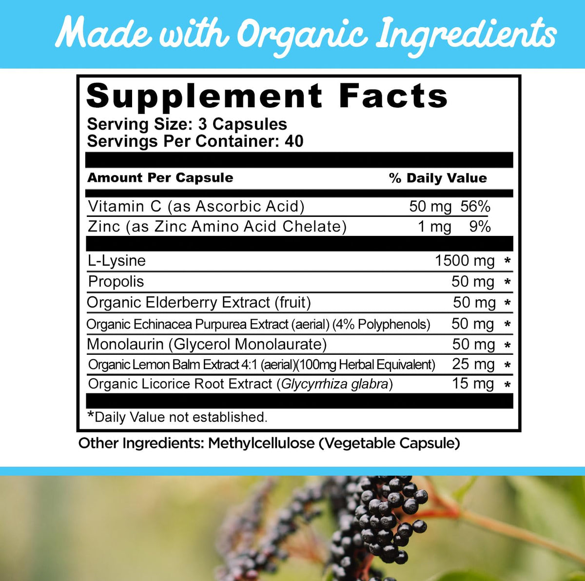 Lysine Lemon Balm 120 Capsules R77353
