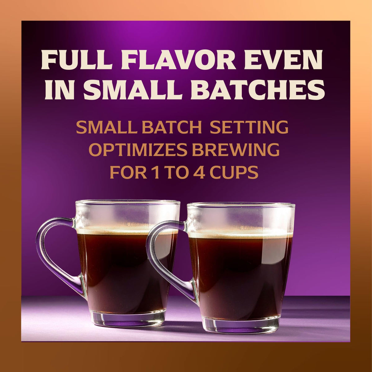 12 Cup Coffee Maker with Decaf and Iced Coffee Settings L778