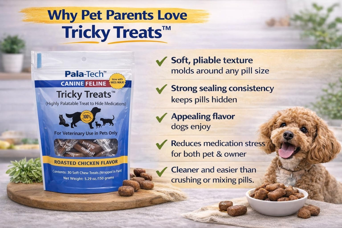 Roasted Chicken Flavor Soft Dog Treats 5.29 oz F19517