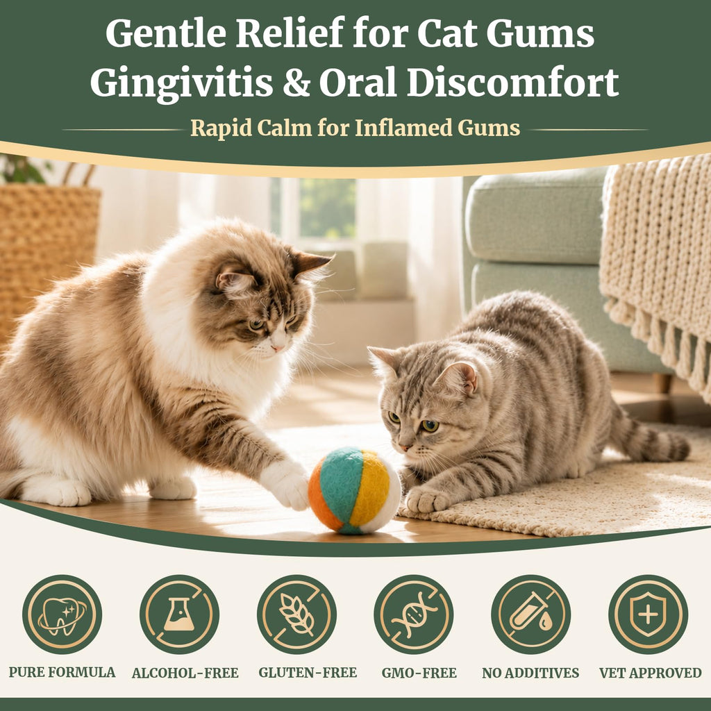 Cat Dental Care Gingivitis Treatment H26246