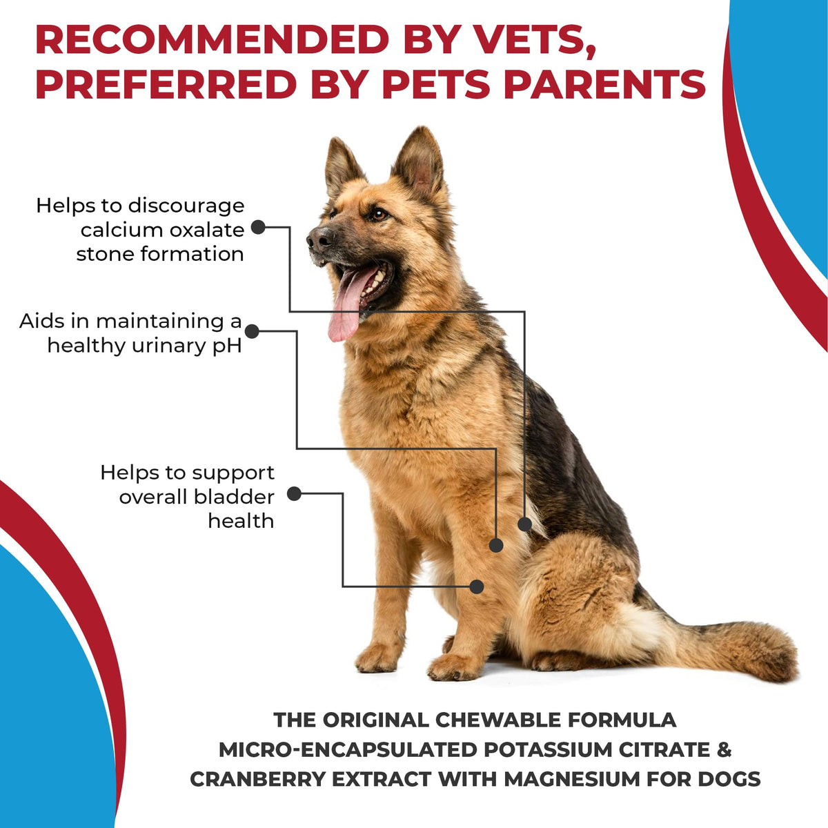 Potassium Citrate Plus Cranberry Supplement for Dogs (100 Tablets) Q2231