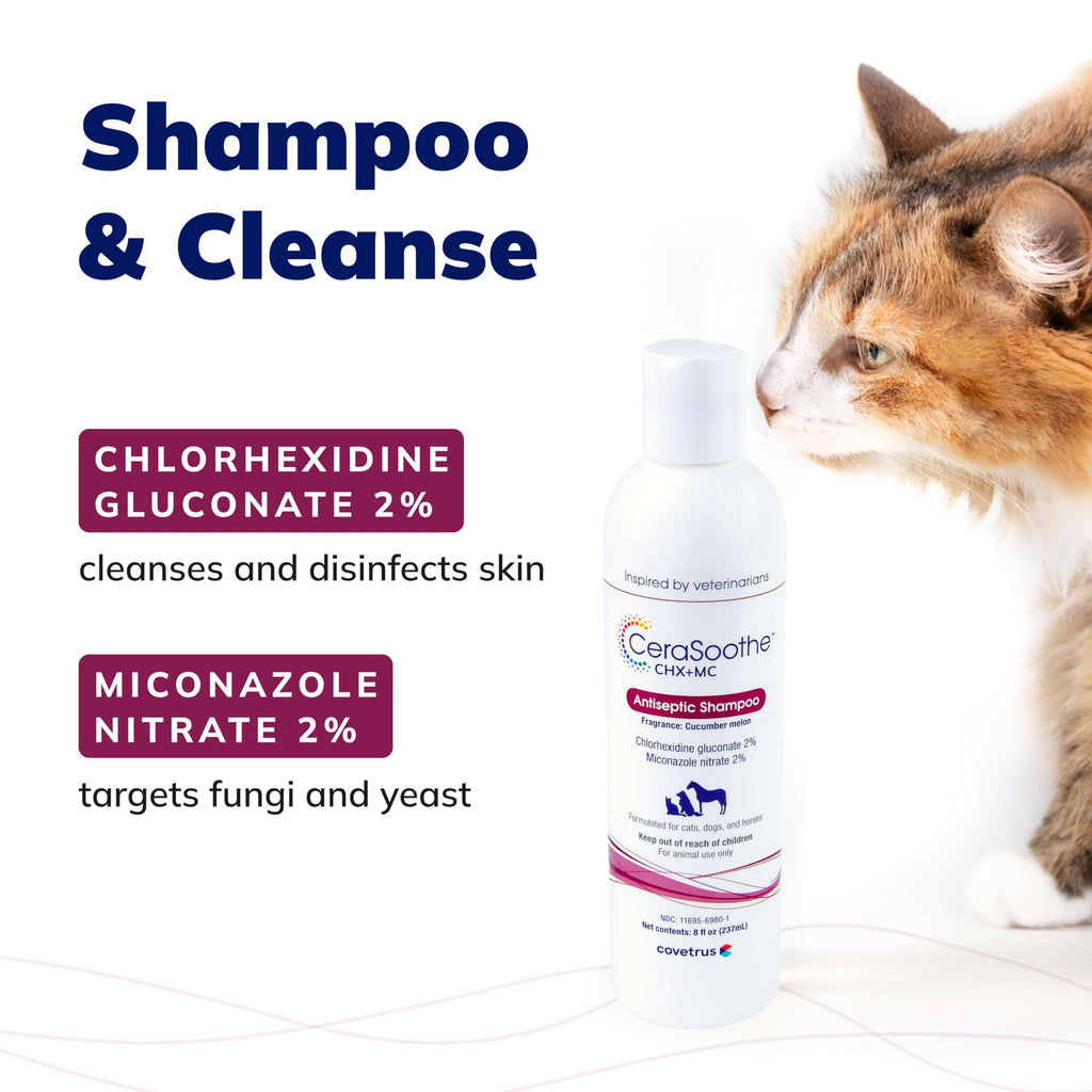 Chlorhexidine & Miconazole Antiseptic Shampoo 16 oz Z308627