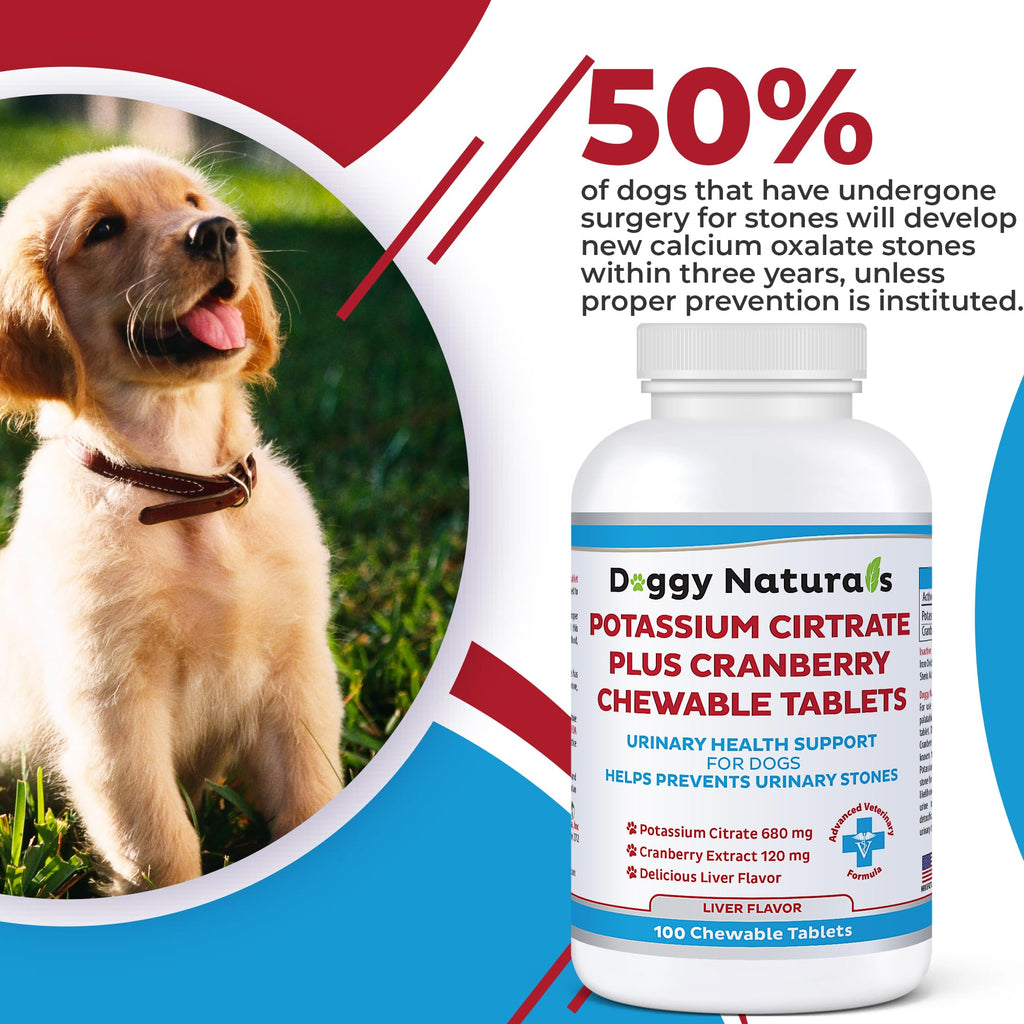 Potassium Citrate Plus Cranberry Supplement for Dogs (100 Tablets) Q2231