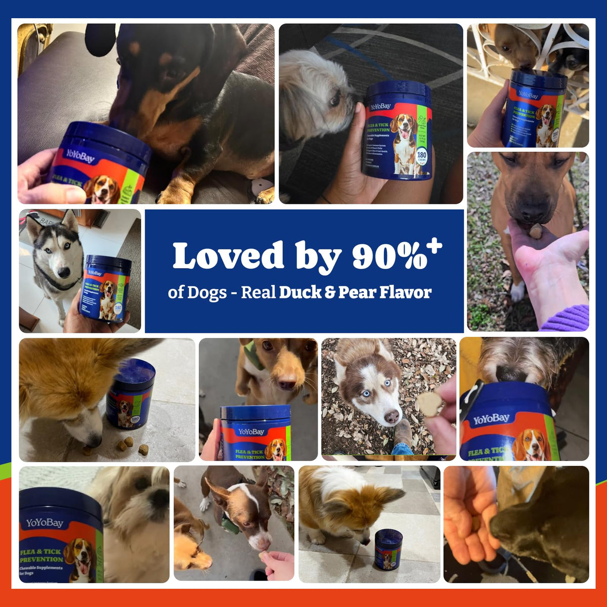 Dog Flea & Tick Prevention Chewables Q60074
