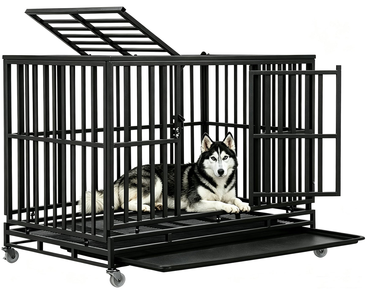 48 Inch Heavy Duty Metal Dog Crate with Double Door M97094
