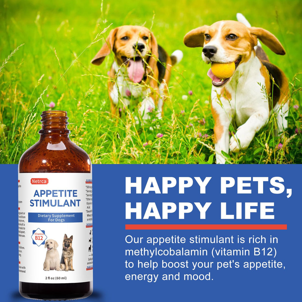 Vitamin B12 Liquid for Dogs H23899