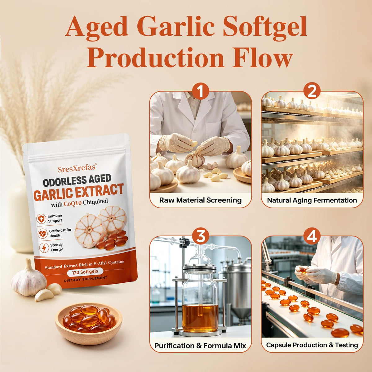 Aged Garlic Extract with CoQ10 Ubiquinol Softgels C180696