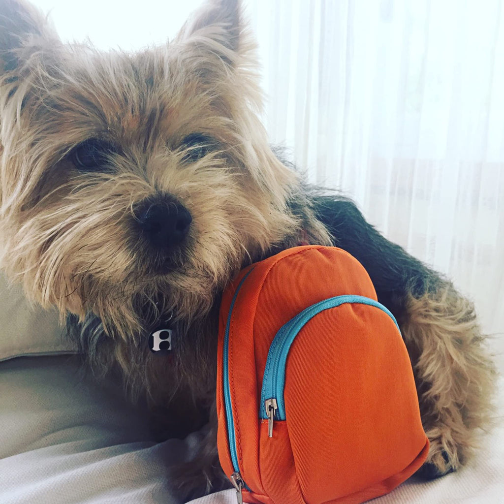 Orange Diabetic Supply Bag C712