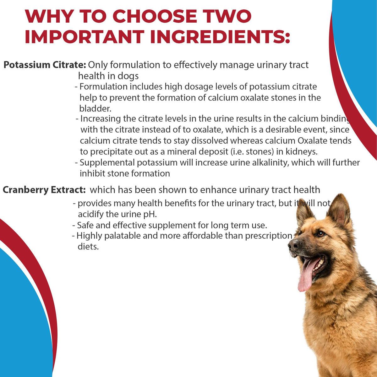 Potassium Citrate Plus Cranberry Supplement for Dogs (100 Tablets) Q2231