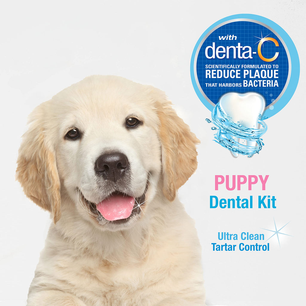 Puppy Dental Kit 3 Count A502