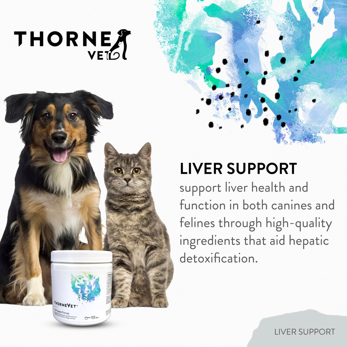 Liver Support Powder for Dogs & Cats K62591