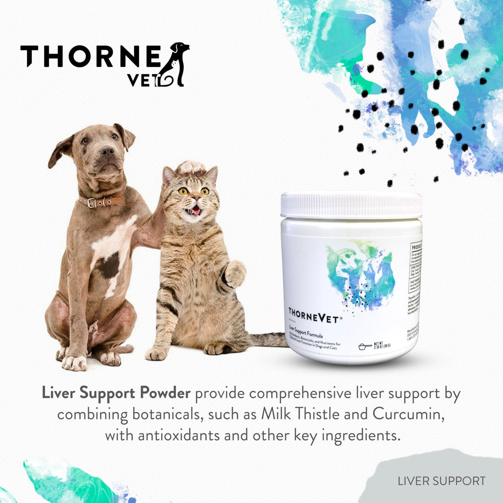 Liver Support Powder for Dogs & Cats K62591