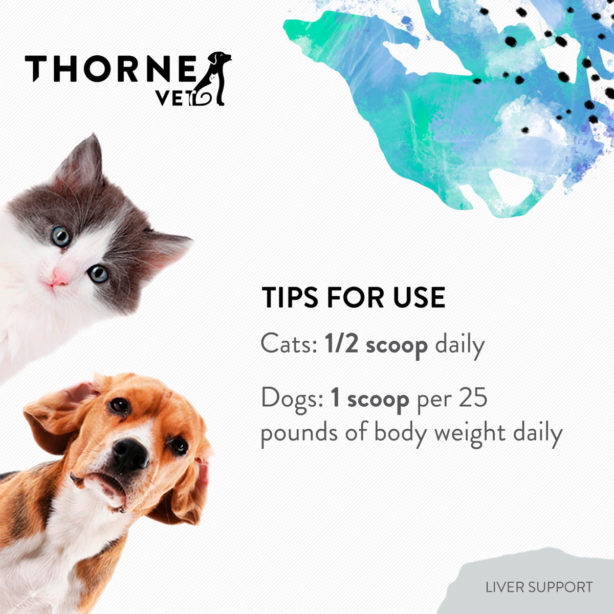 Liver Support Powder for Dogs & Cats K62591